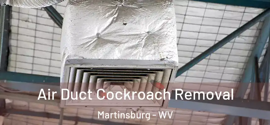  Air Duct Cockroach Removal Martinsburg - WV