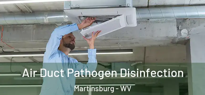  Air Duct Pathogen Disinfection Martinsburg - WV