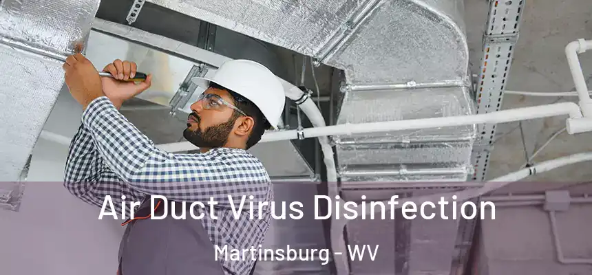  Air Duct Virus Disinfection Martinsburg - WV