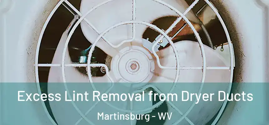  Excess Lint Removal from Dryer Ducts Martinsburg - WV