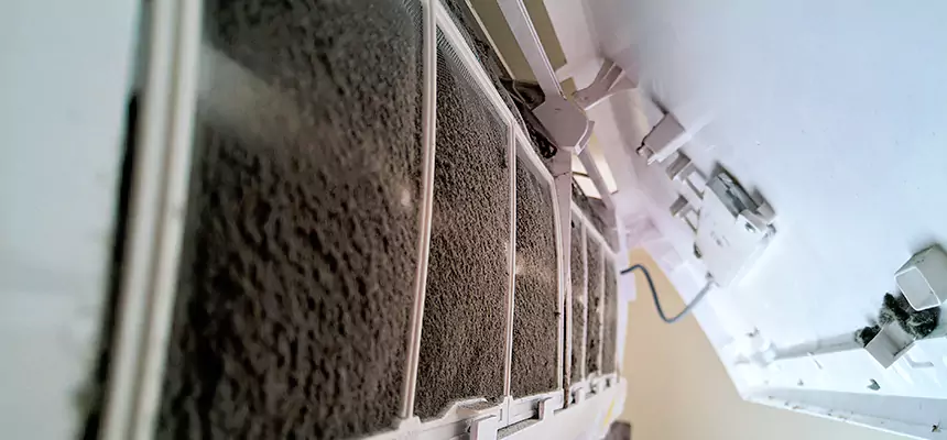 Preventive Air Duct Bacteria Removal in Martinsburg