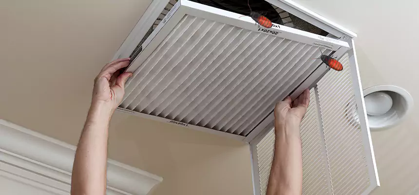 Preventive Cockroach-Proofing for Ducts in Martinsburg