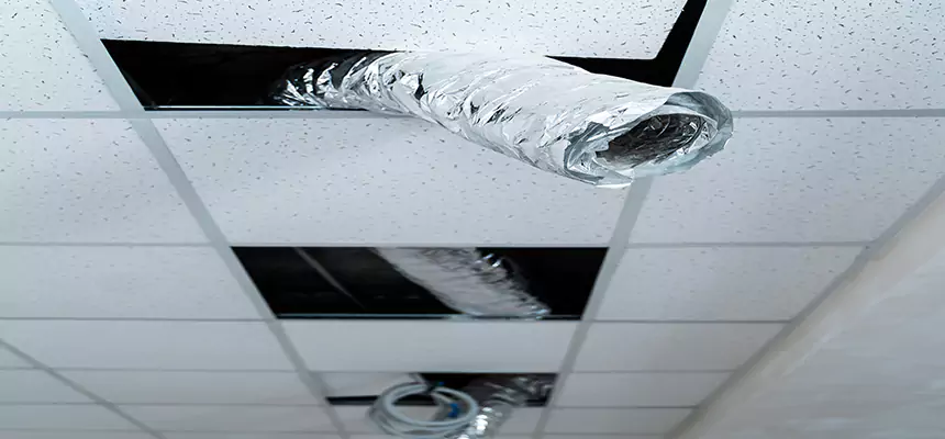 Affordable HVAC Sanitizing After Pest Removal in Martinsburg