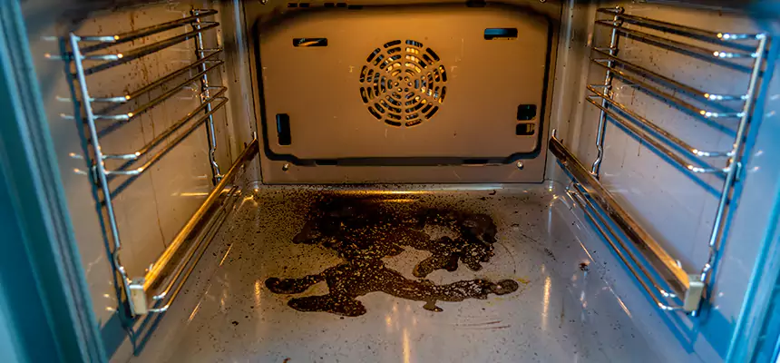 Our Dryer Vent Mold Cleaning Services in Martinsburg, WV