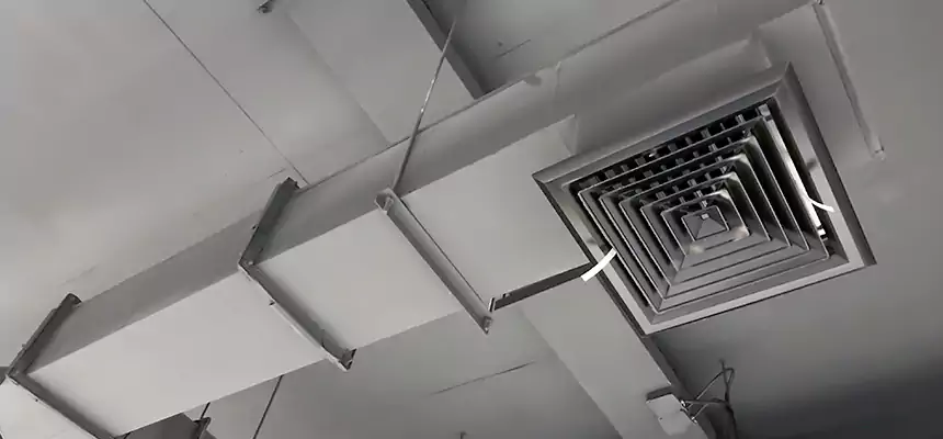 Our Rodent Droppings In Vents Services in Martinsburg, WV