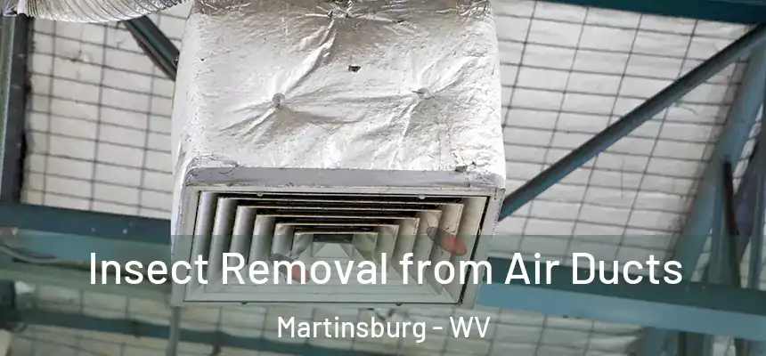  Insect Removal from Air Ducts Martinsburg - WV