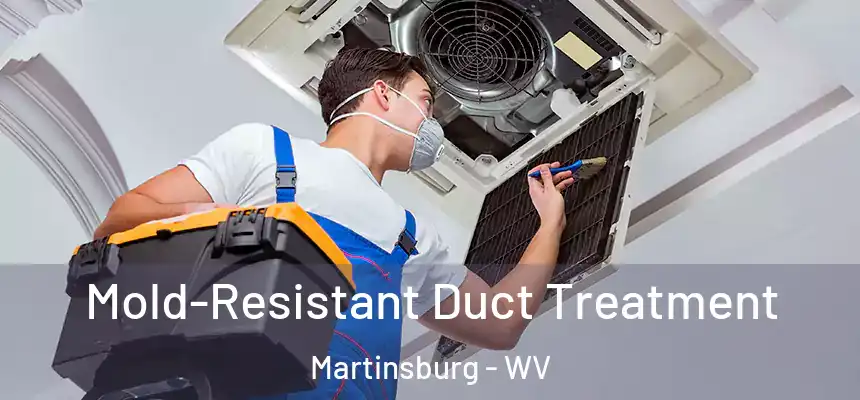  Mold-Resistant Duct Treatment Martinsburg - WV