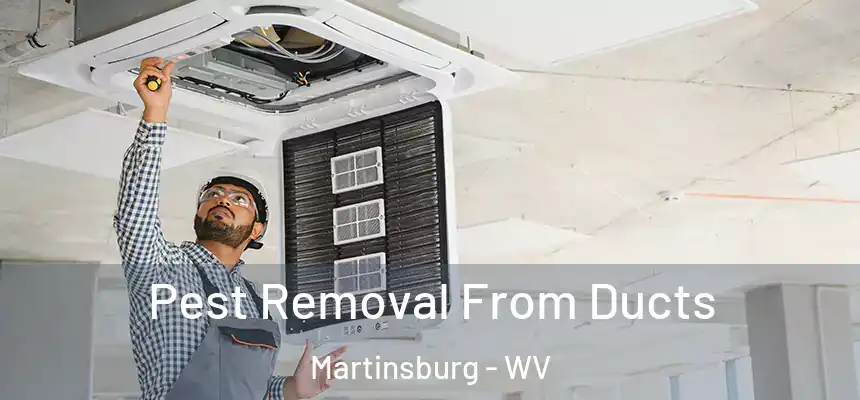  Pest Removal From Ducts Martinsburg - WV