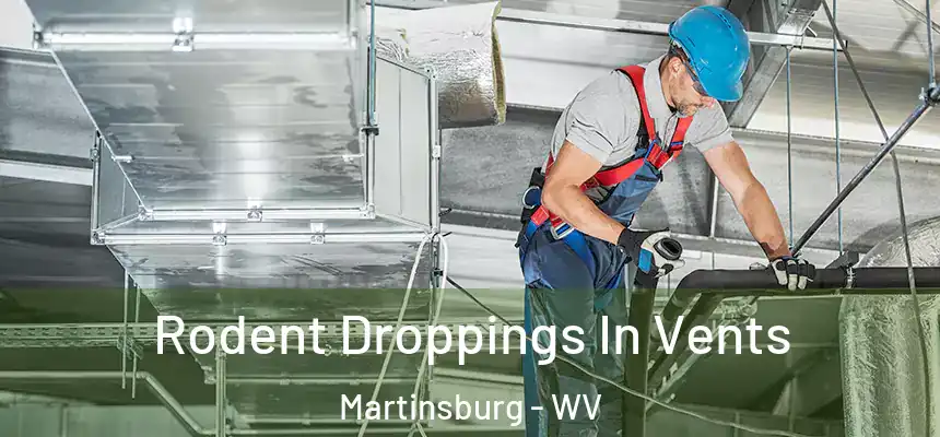  Rodent Droppings In Vents Martinsburg - WV