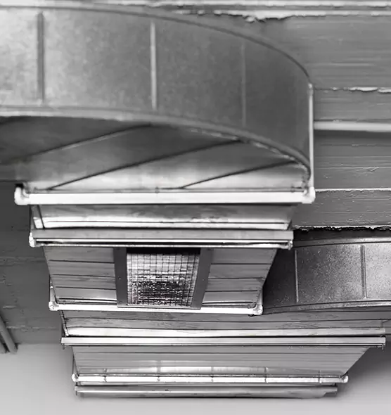 Professional Air Duct Pest Removal in Martinsburg, WV