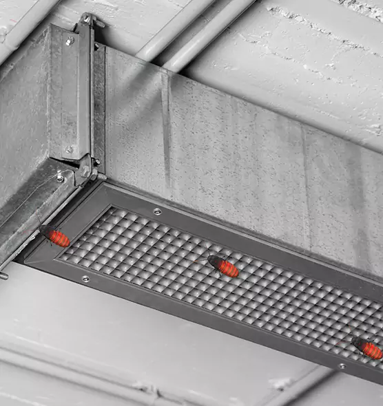 Affordable Insect Removal from Air Ducts in Martinsburg, WV