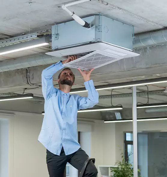 Advanced Rodent Droppings In Vents in Martinsburg, WV