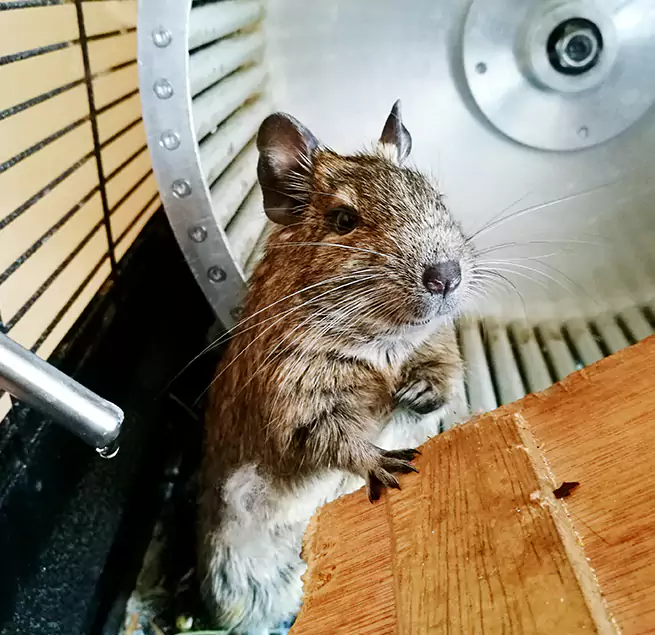 Why Homeowners & Businesses Trust Us Martinsburg, WV