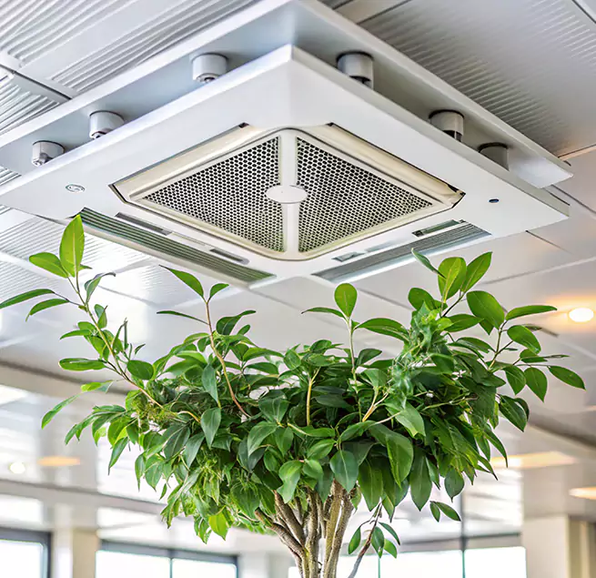 Why Homeowners & Businesses Trust Us in Martinsburg, WV