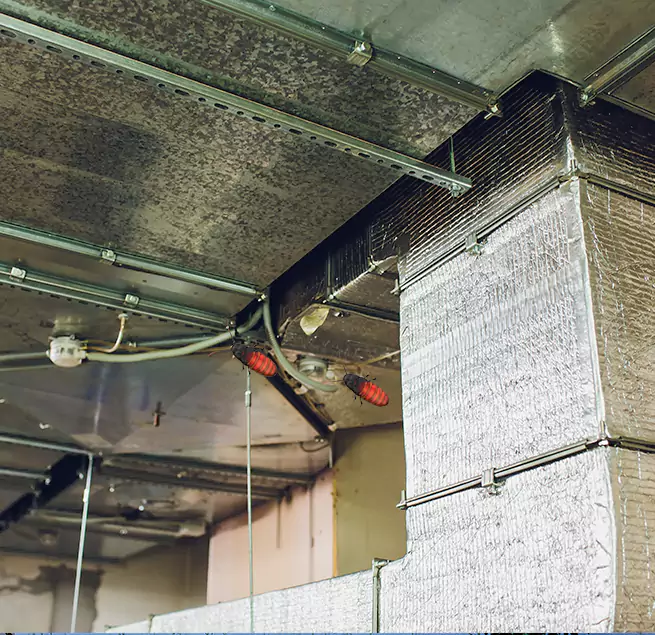 Why Homeowners & Businesses Trust Us Martinsburg, WV?